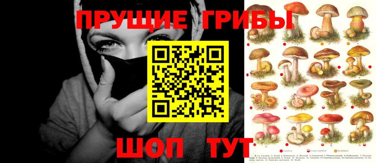 Галлюциногенные грибы прущие грибы  Псилоцибиновые грибы GOLDEN TEACHER  Реутов  купить наркотик  Вход с VPN 